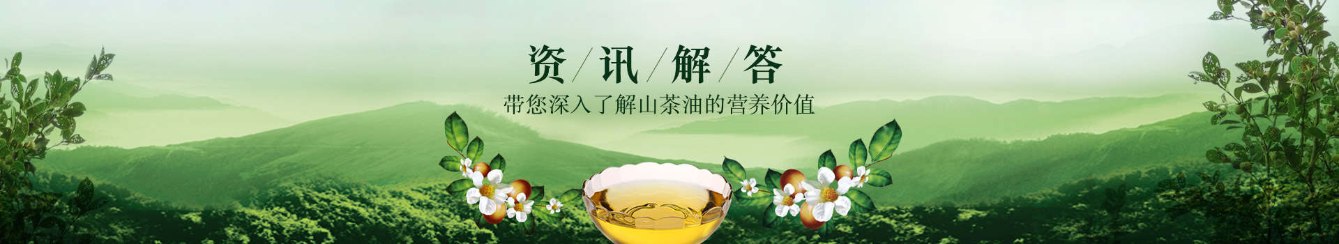 精装山茶油