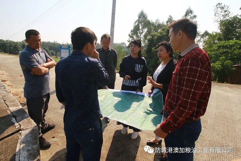 九龙桂原香山茶油